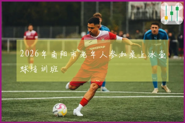 2026年南阳市老年人参加桌上冰壶球培训班