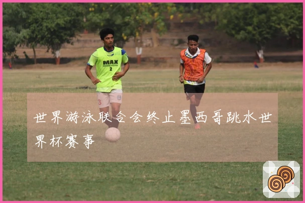 世界游泳联合会终止墨西哥跳水世界杯赛事